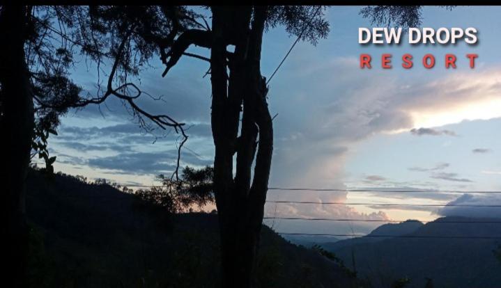 Dew Drop Resort Ella Exteriér fotografie